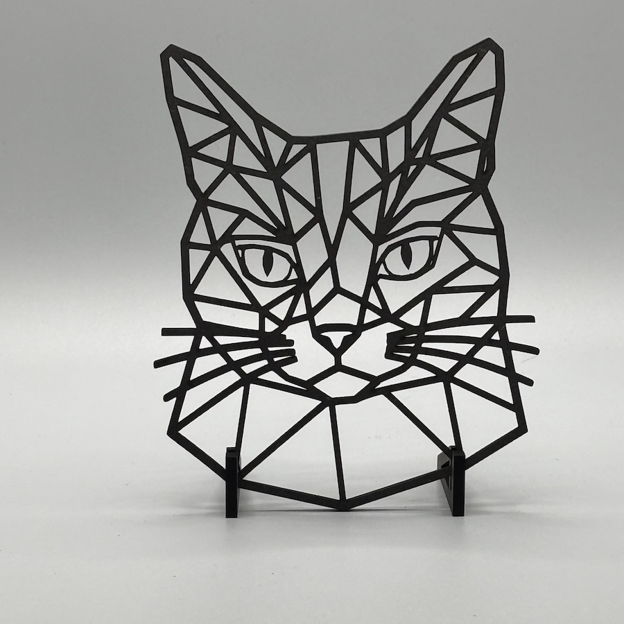Geometrische kat zwart voetjes