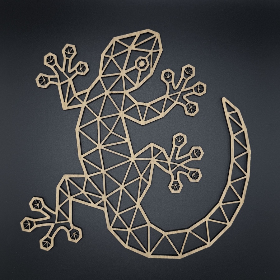 Geometrische gekko